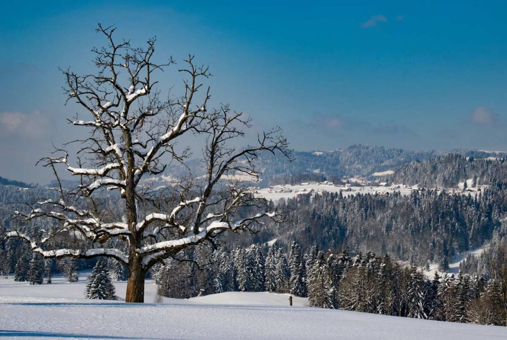 Krumbach