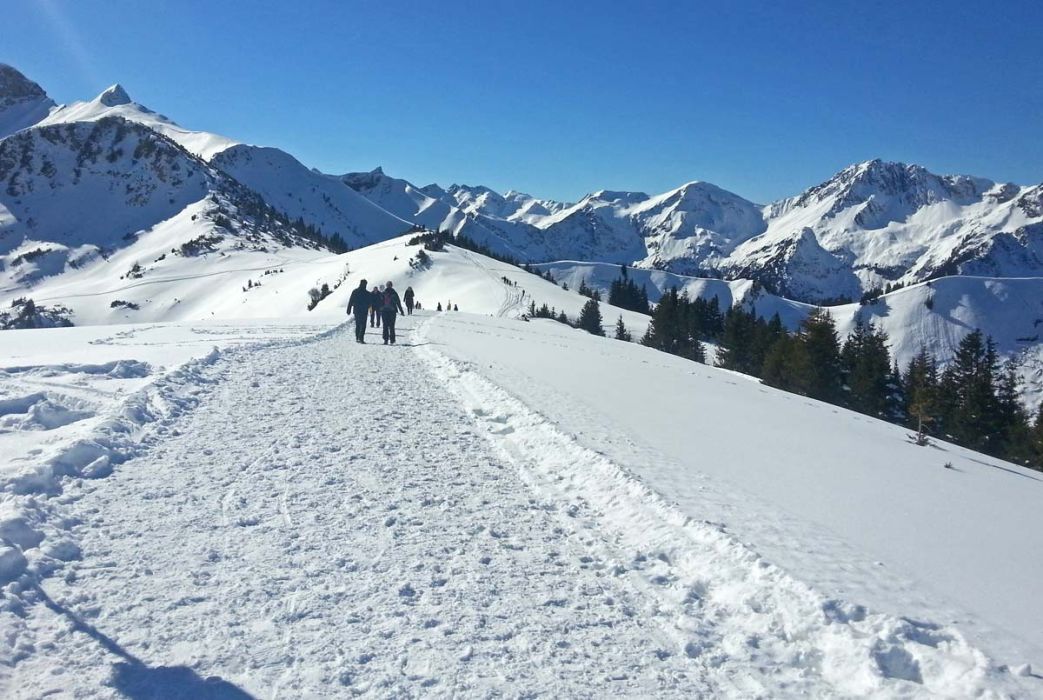 Winterwandern